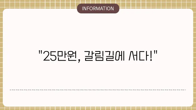 민생지원금 25만원 거부권: 논의 현황