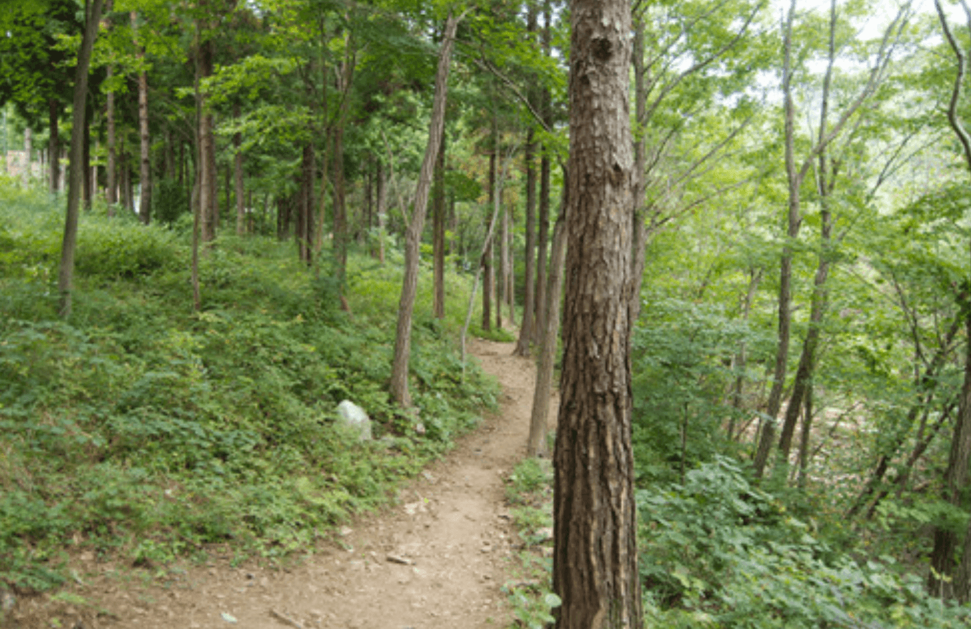 국립자연휴양림 