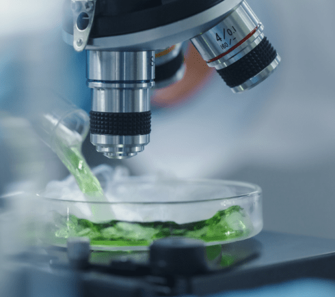 셀트리온 주가 전망, 배당금, 실적발표! 2025년 최신 업데이트!