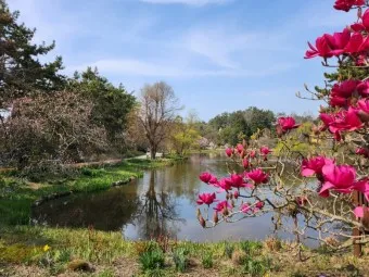 천리포 수목원 목련축제 입장료 여행코스_10