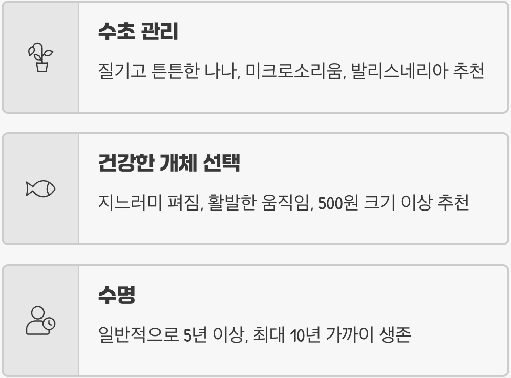 엔젤피쉬 키우기 A to Z (어항, 먹이, 수질 관리)