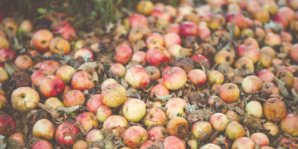 가을 장마가 추수에 미치는 영향 총정리 블로그 글 이미지 5