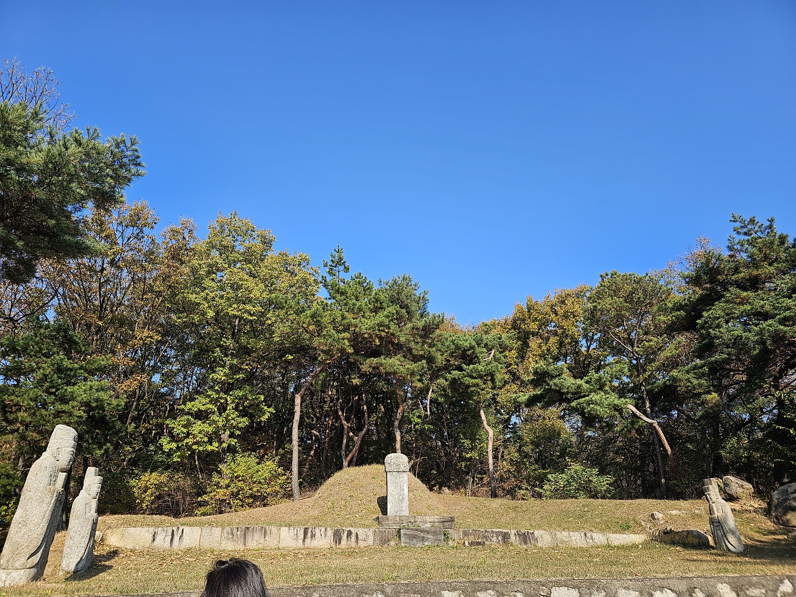 풍산 심씨묘역중 한곳