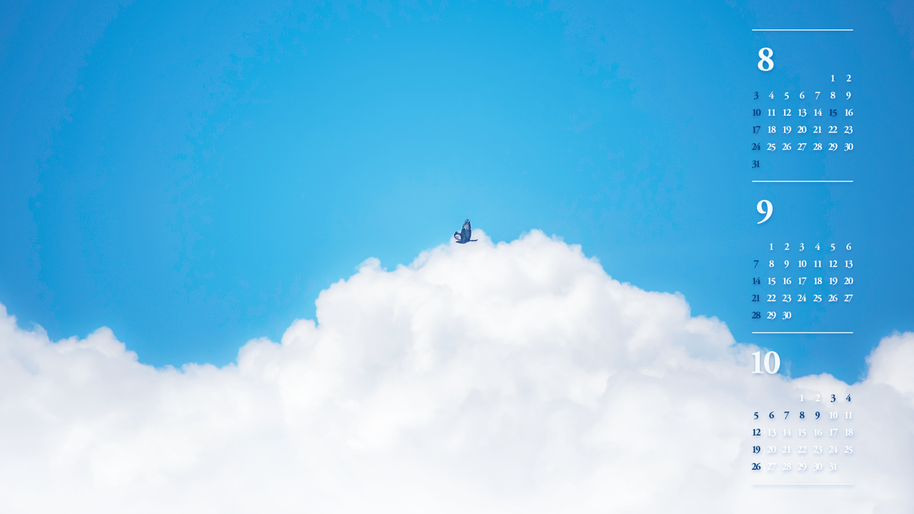 02 흰구름과 새 B - 2025년9월 노트북배경화면