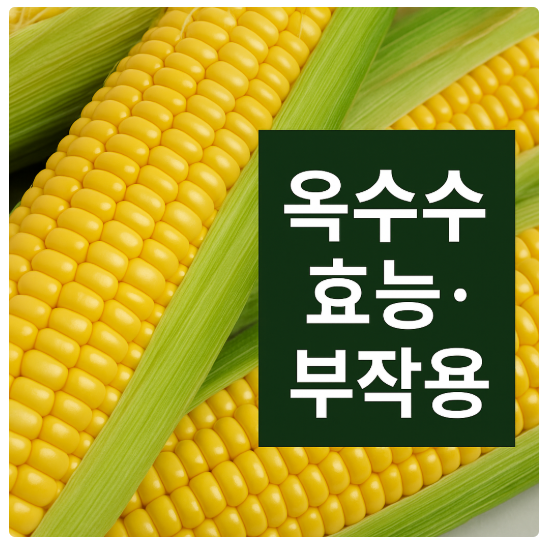 옥수수의 효능과 부작용