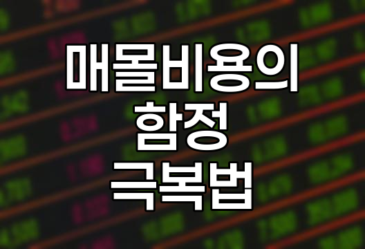 매몰비용의 함정과 극복법, 경제적 의사결정의 핵심
