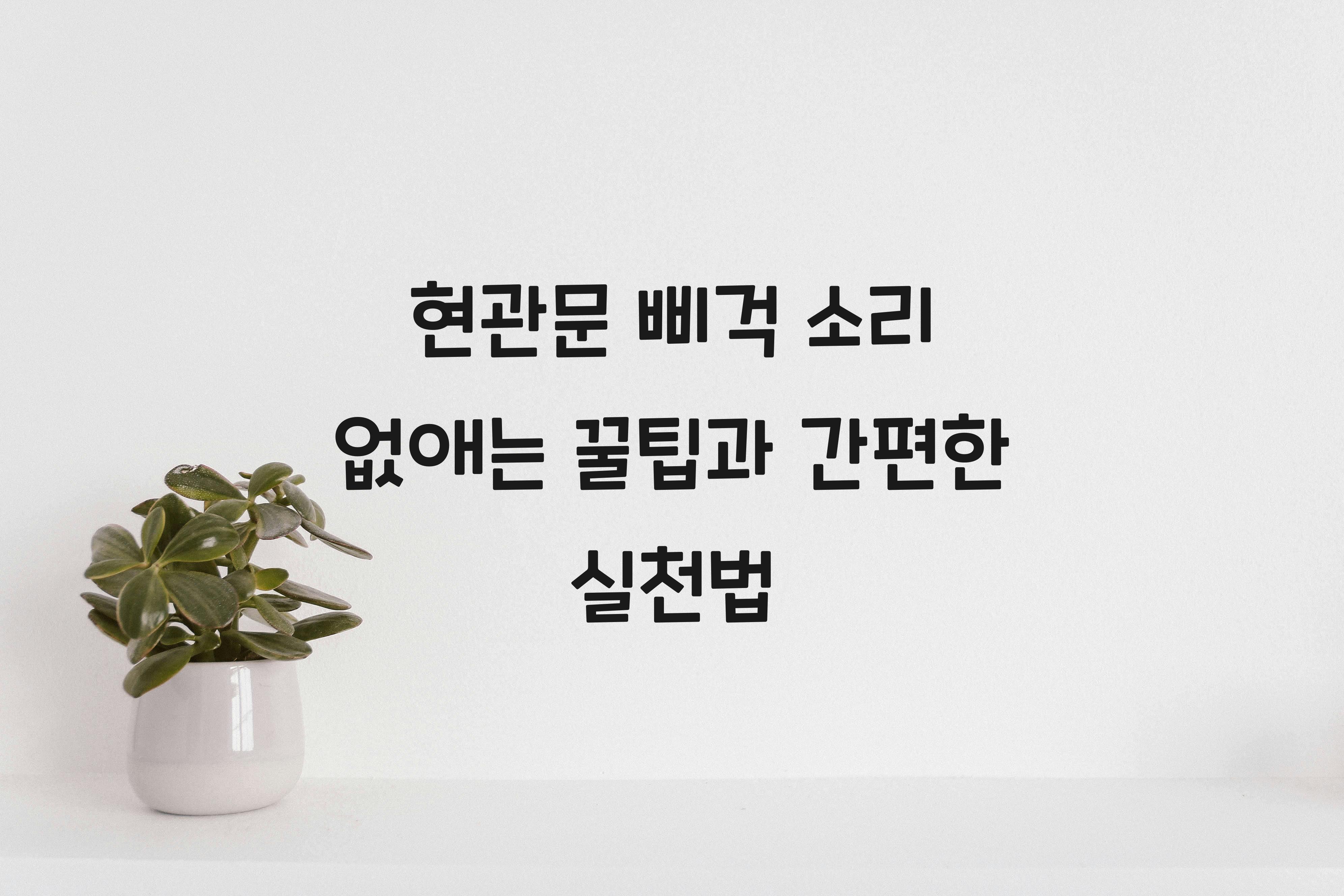 현관문 삐걱 소리 없애는 꿀팁