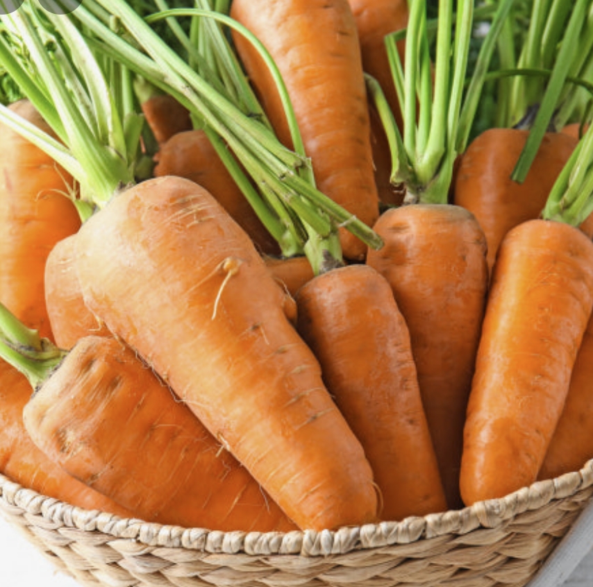 장 건강을 돕는 채소-당근