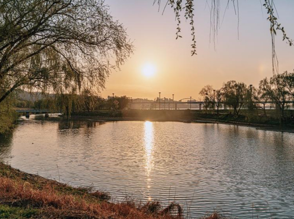 한강 야간투어 서래섬 야경사진