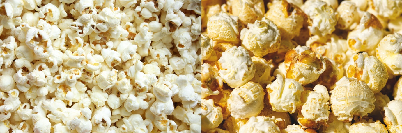 버터플라이팝콘-머쉬룸팝콘-뻥튀기-강냉이-카라멜팝콘