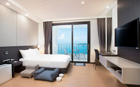 펫캉스 가능한 호텔 BEST 5