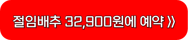 다담-식자재마트-절임배추-예약-링크