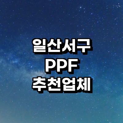 고양 일산서구 ppf