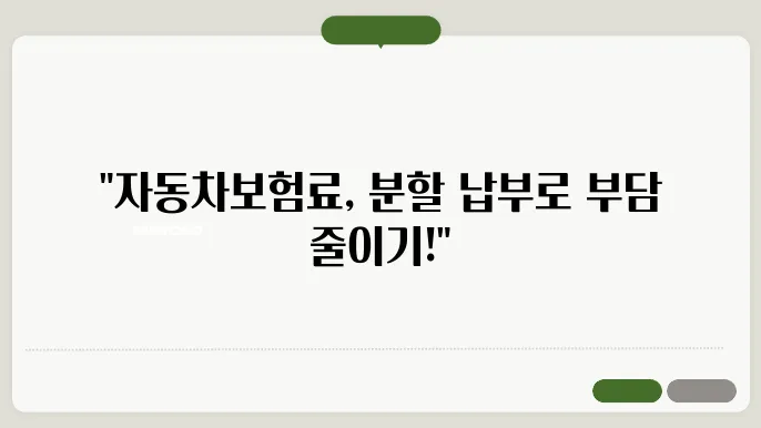 자동차보험료 할부