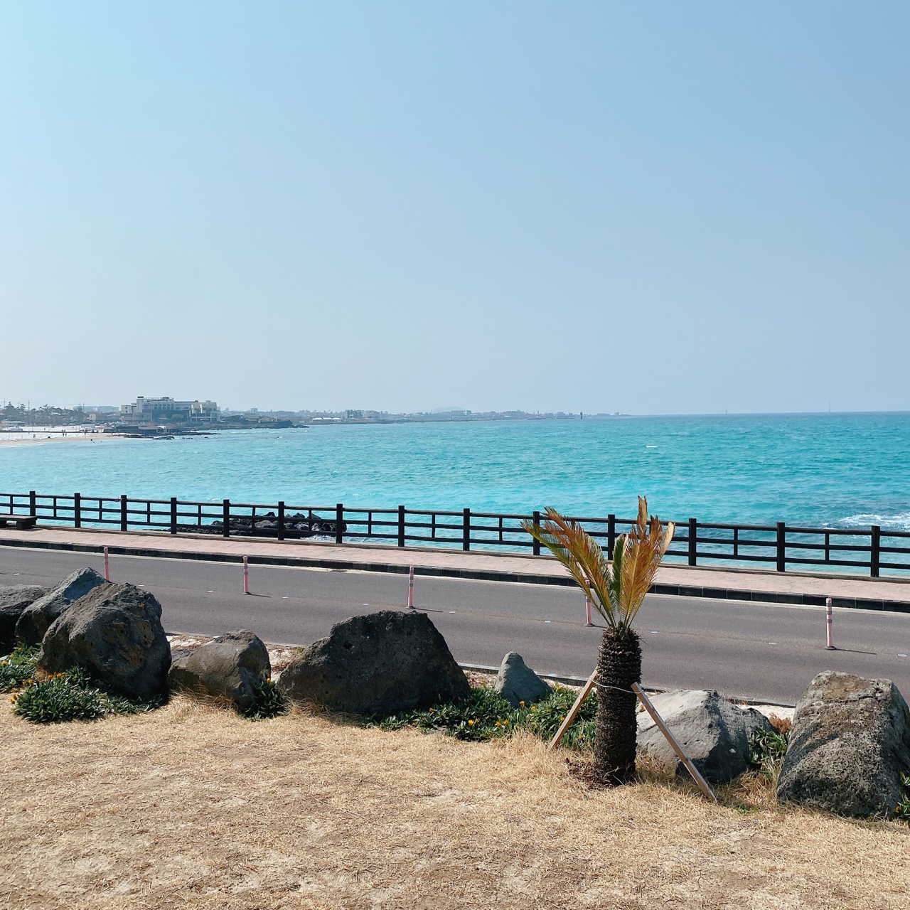 제주 곽지해수욕장 멜팟카페