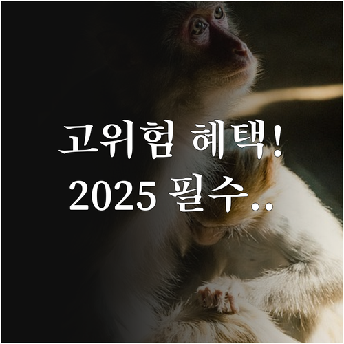 고위험 산모 지원 사업 2025년 신..