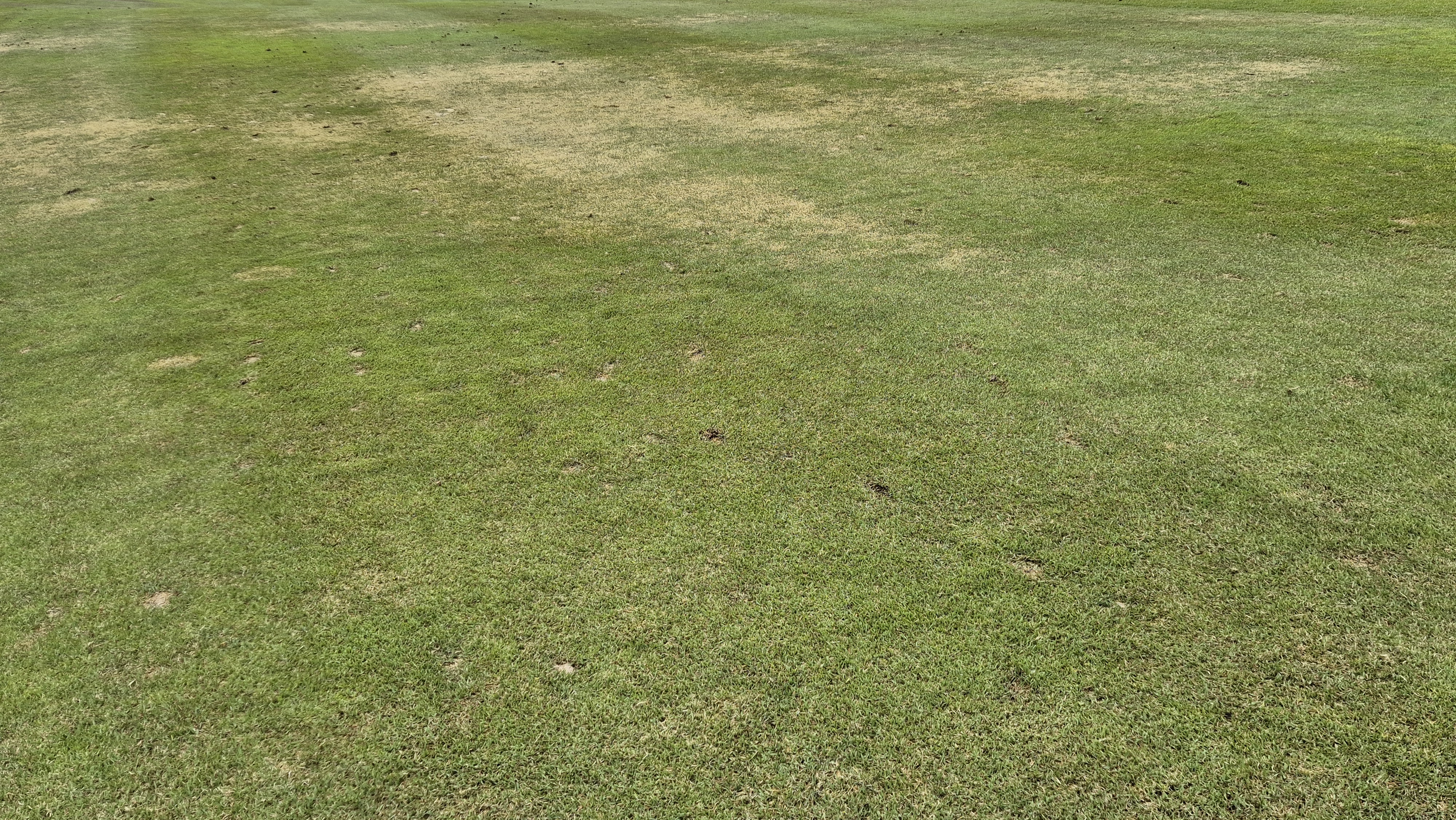 엘리시안 강촌cc 라운드 후기