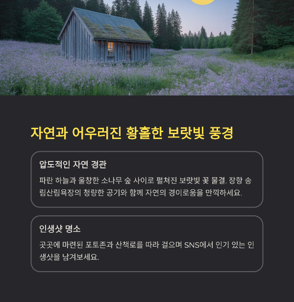 자연과 어우러진 황홀한 보랏빛 풍경