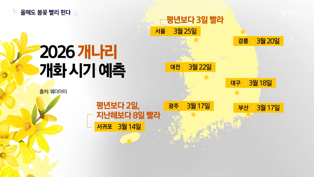 개나리