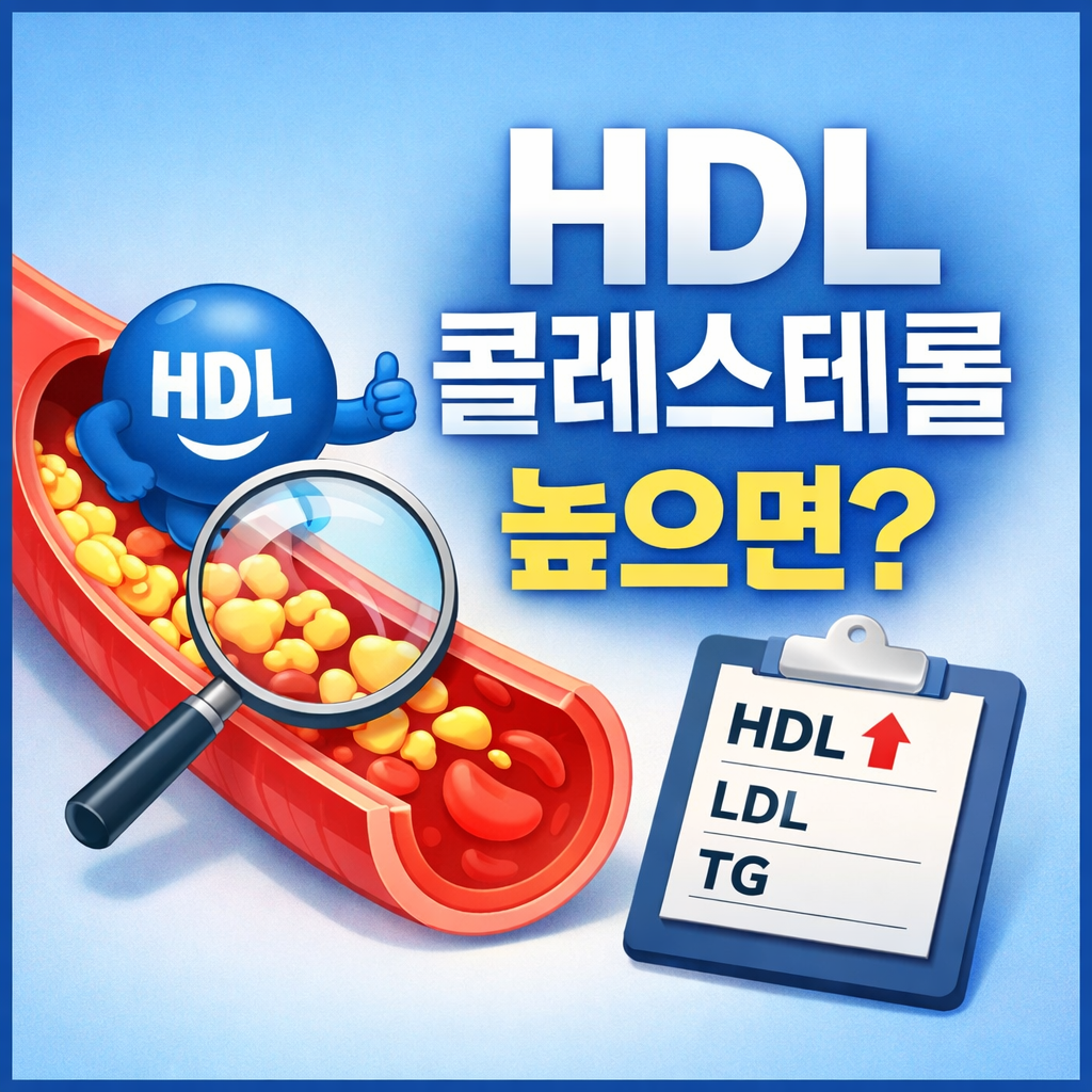hdl 콜레스테롤 높으면