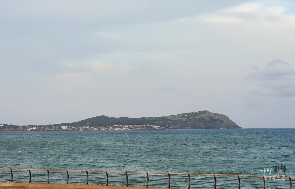 카페더씨 주변 오름