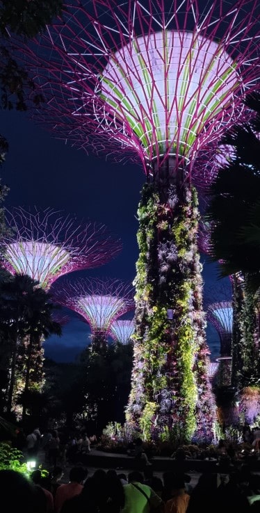 가든스 바이 더 베이 슈퍼 트리 쇼