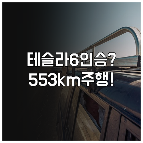 6인승 전기 SUV 테슬라 모델 YL..