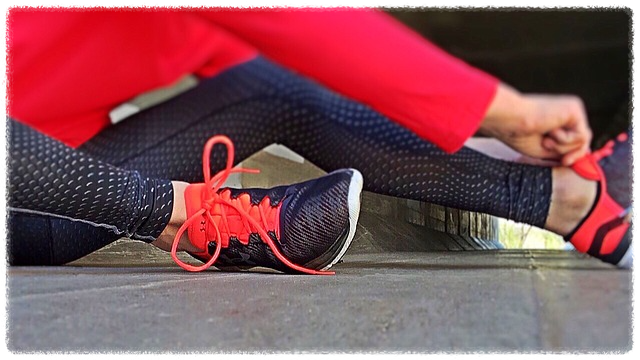 어르신 스포츠상품권 사용처 조회 방법 및 절차