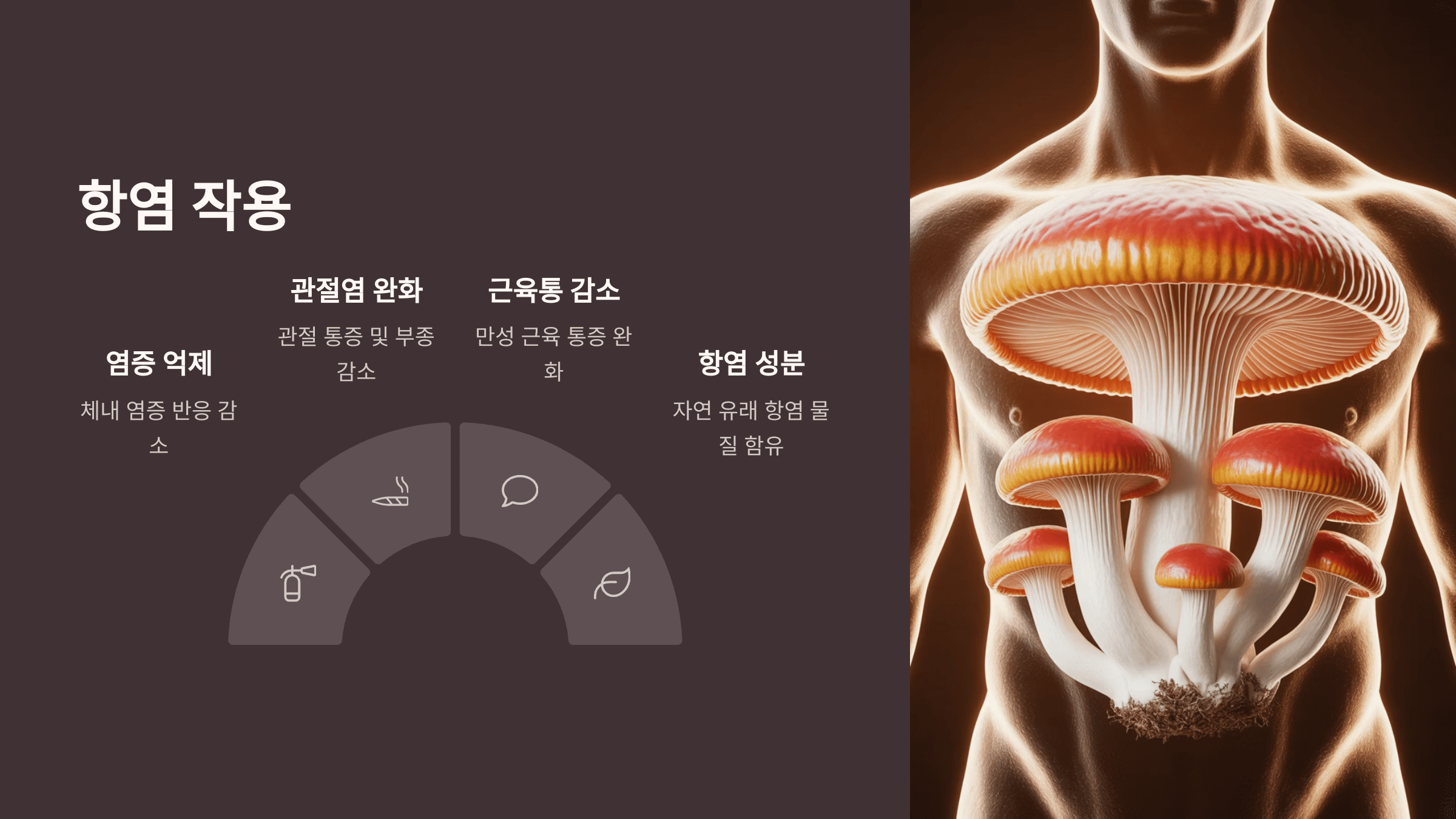 상황버섯 사진입니다.