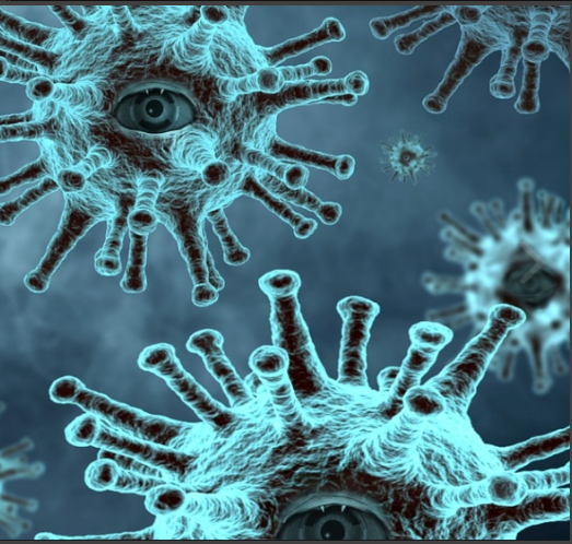 코로나 증상 순서