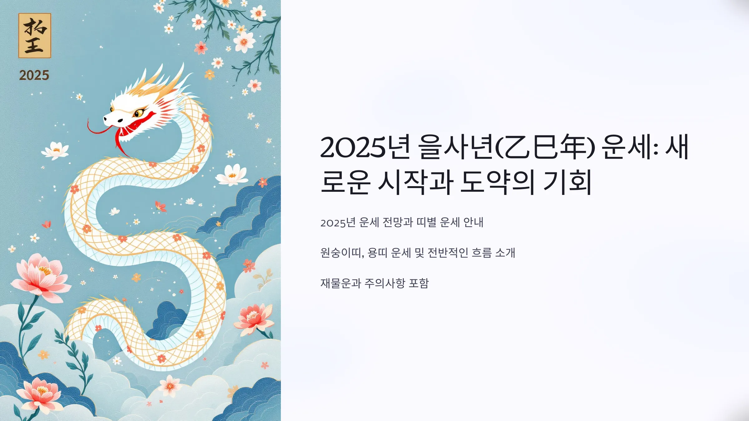 2025년 을사년(乙巳年) 운세