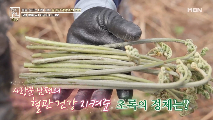 천기누설이미지