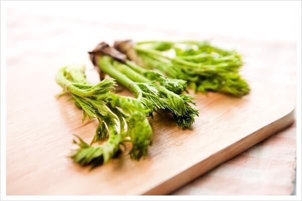 봄 제철 음식 추천