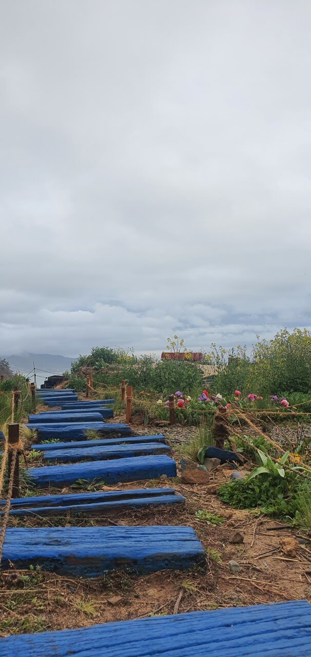 생생정보 두 집 살림 카페 순이로 남해 한 달 살아보기 카페 톨 생생정보 2299회