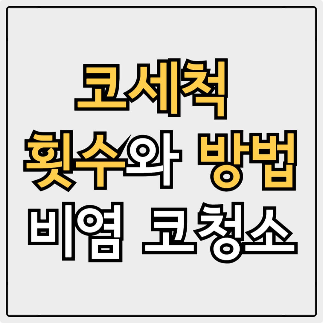 코 세척 횟수 방법 비염 코 청소