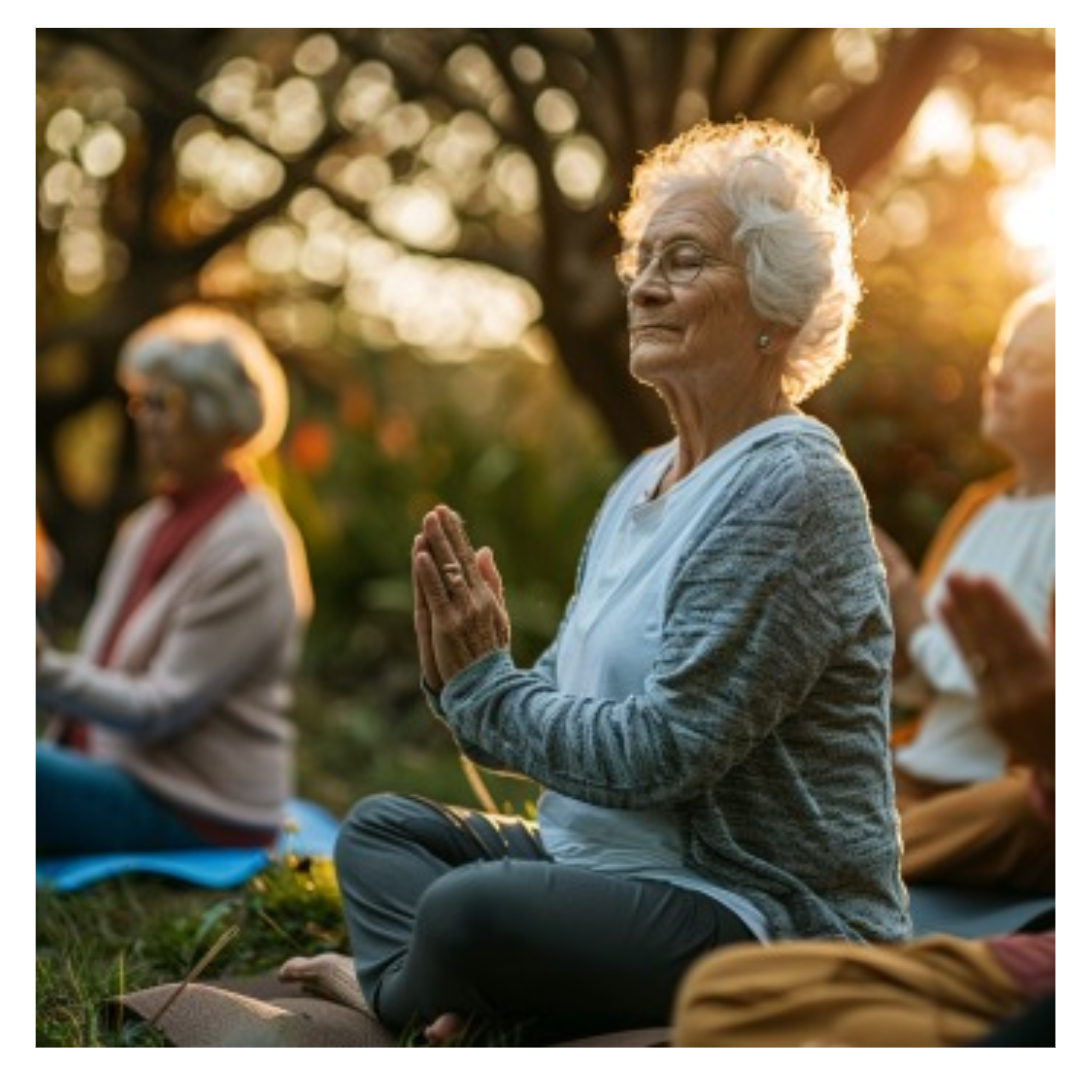 식물성 멜라토닌과 관련된 사진입니다.