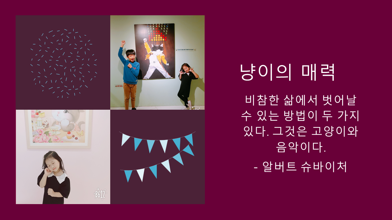 고양이에 대해 알버트 슈바이처가 남긴 말