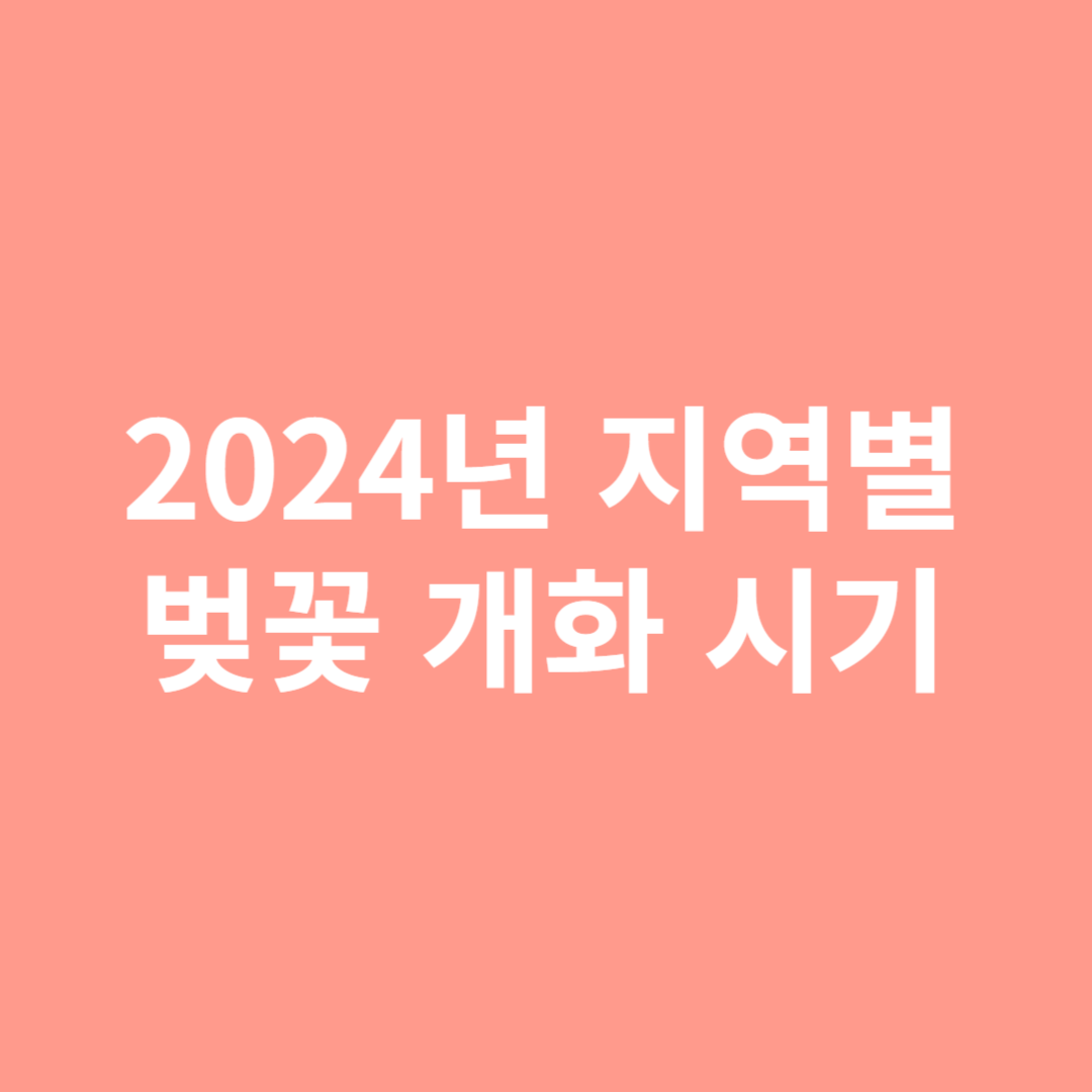 2024년 벚꽃 지역별 개화 시기를 알아봅니다.