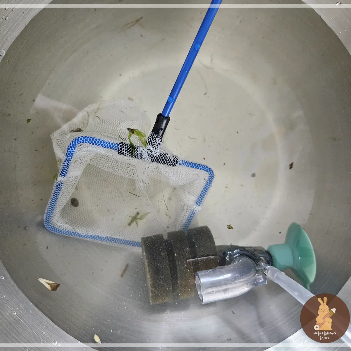 원래-있던-물-옮겨-놓기