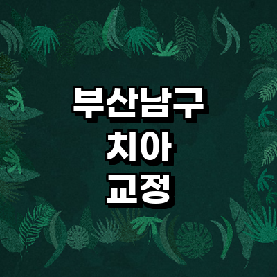 부산 남구 교정 치과