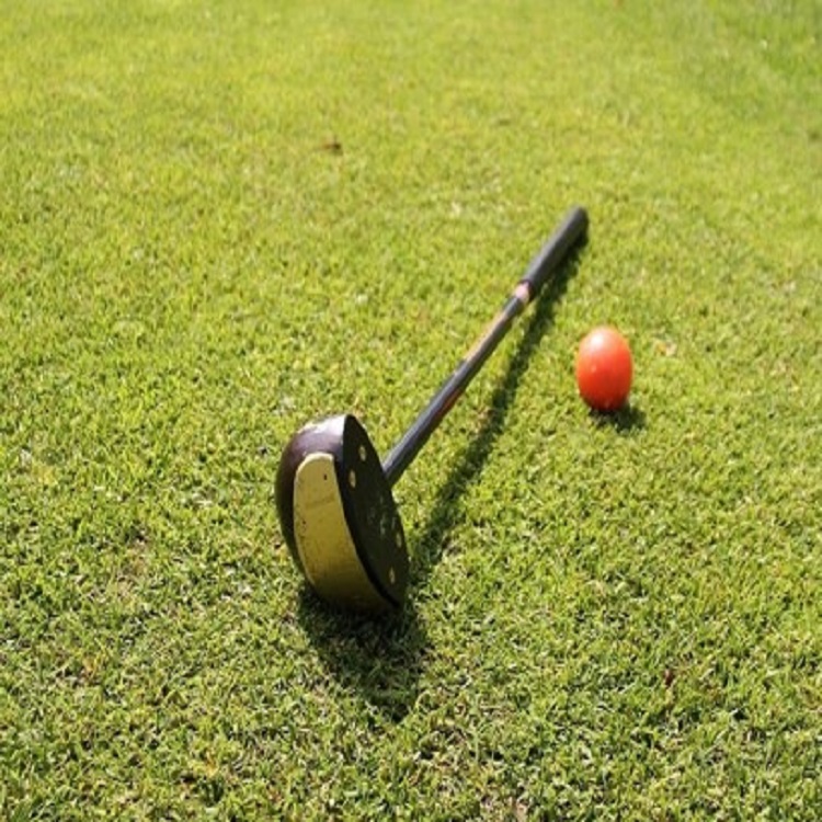 파크골프장 선택 팁