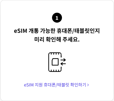 eSIM 개통 방법