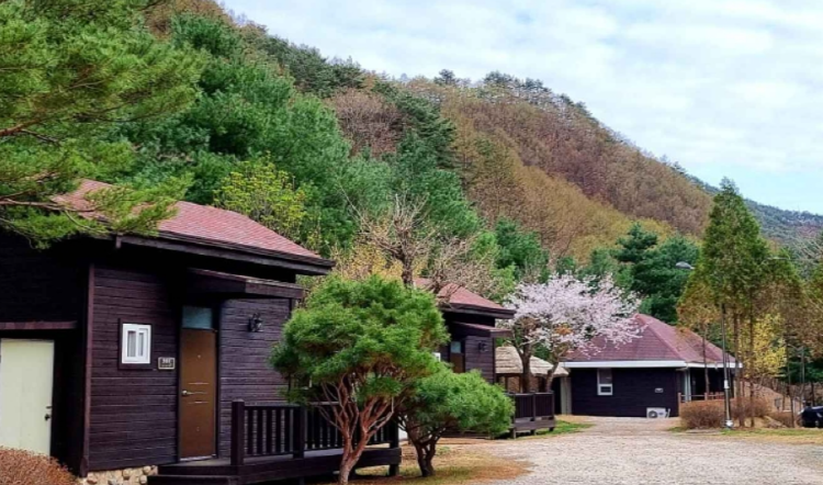 광치자연휴양림