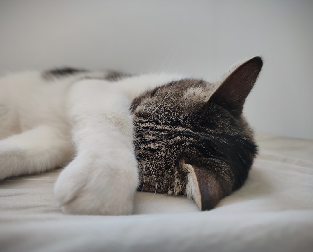 Sleep.