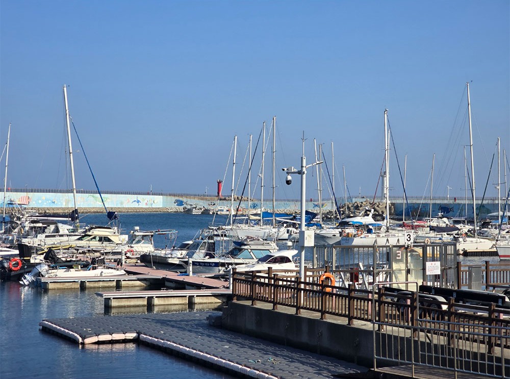 수산항 요트 마리나. 돛대가 이어져 만들어내는 시원한 풍경