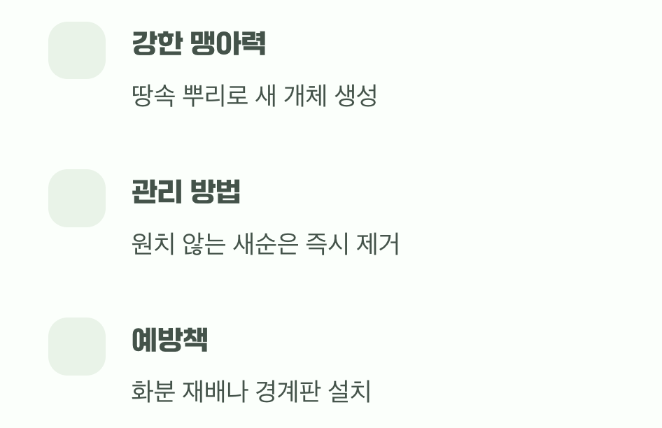번식, 좋을까 나쁠까?