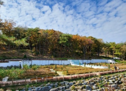 원주/핫플레이스/소금산/그랜드밸리