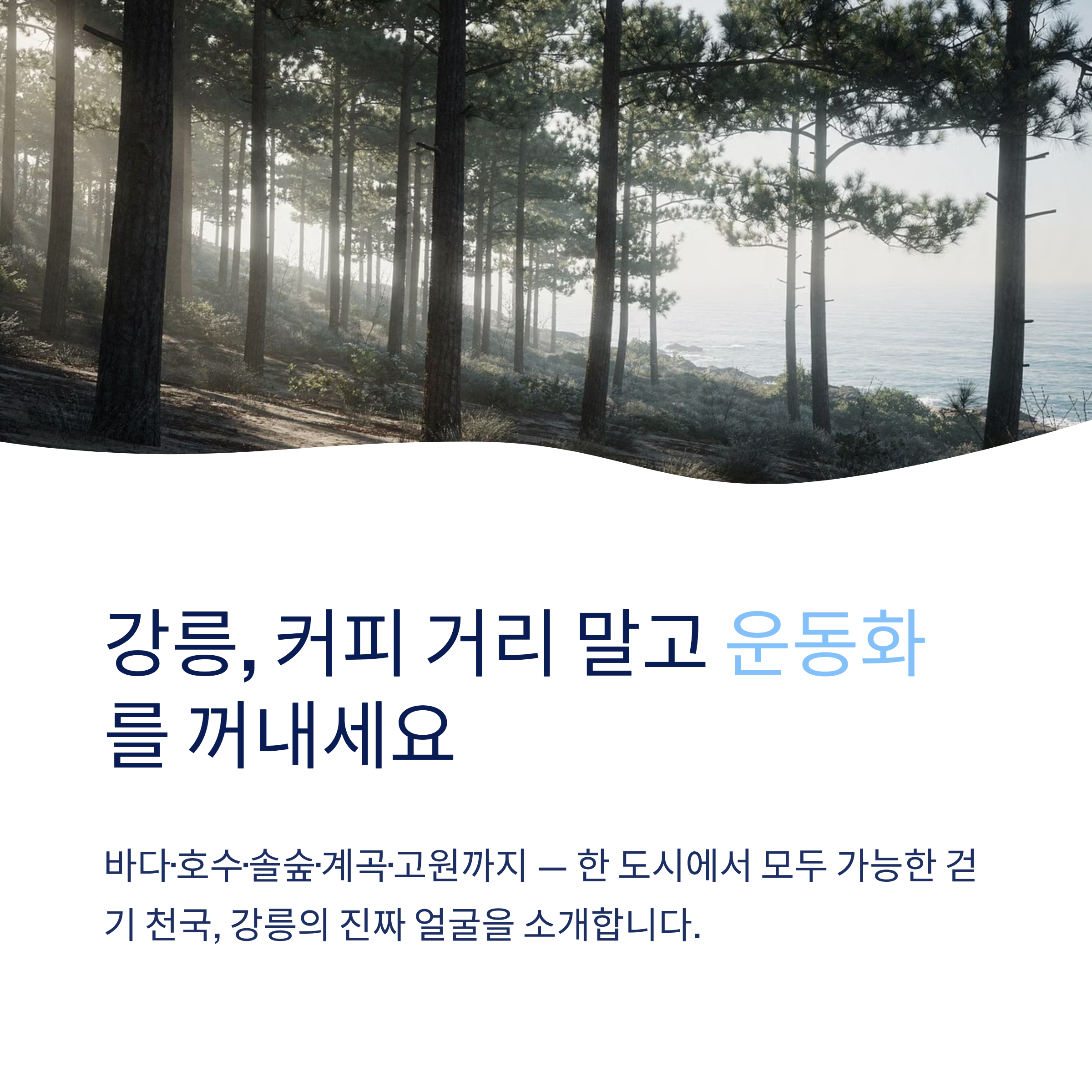 강릉 근교 산책 달리기 트레킹 코스 추천 ❘ 바다와 소나무 숲 사이를 걷는 법