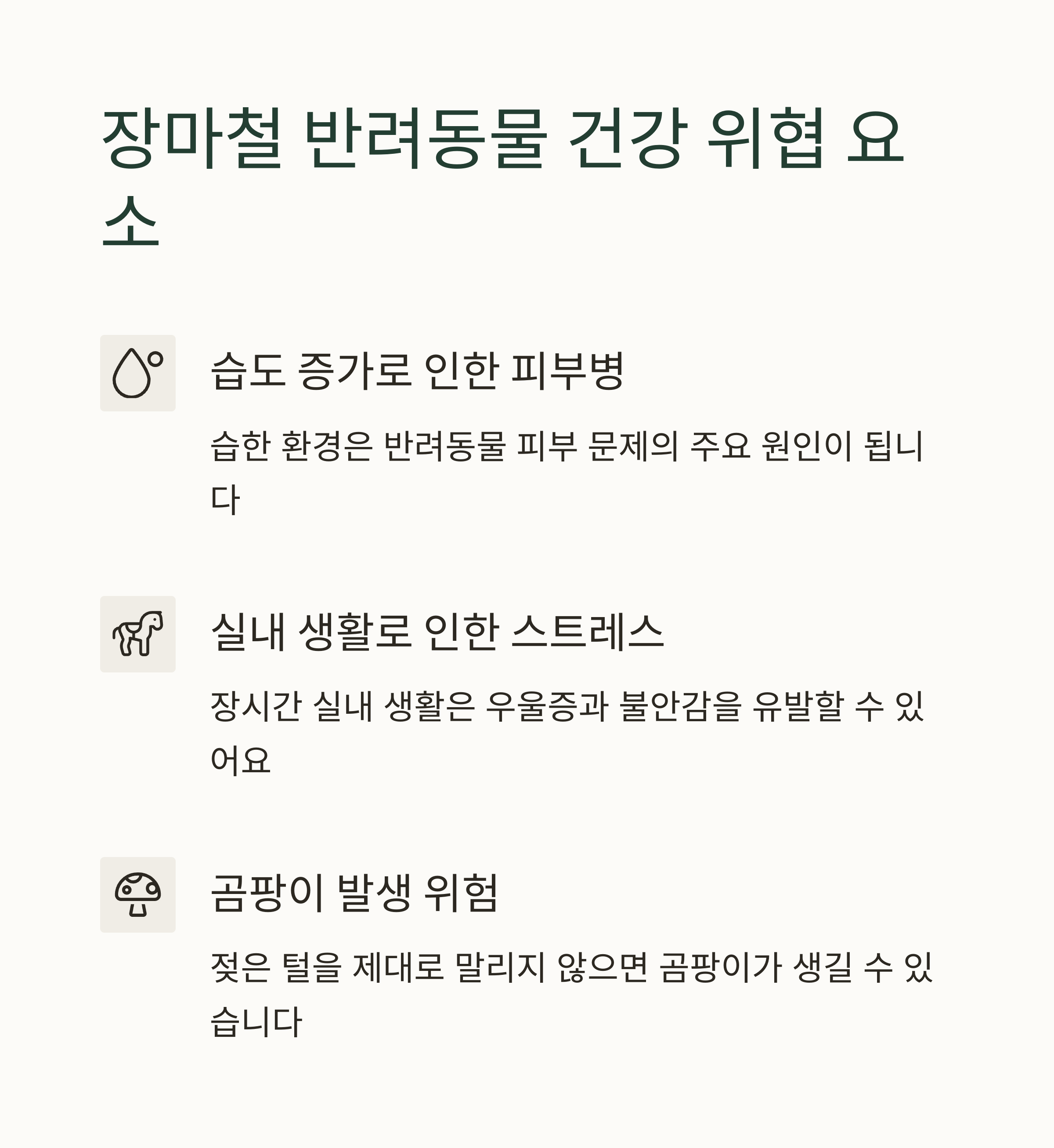 장마철 반려동물 실내 안전관리 가이드