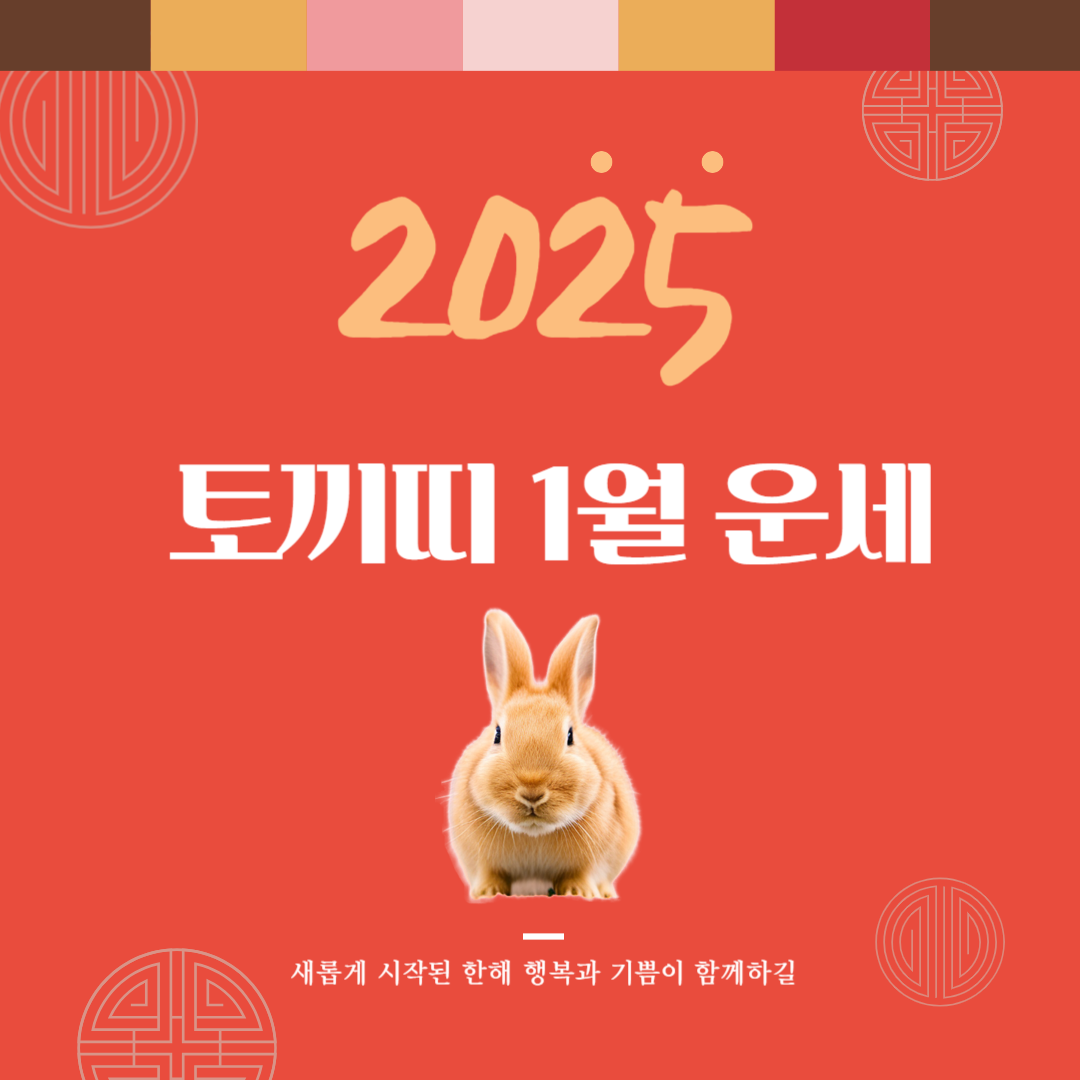 2025년 을사년 『토끼띠』 1월 운세